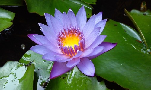 婴儿感冒怎么治疗-婴儿感冒大小便就少网 - 网站提供婴儿感冒自愈一般多久小常识、婴儿感冒症状怎么处理